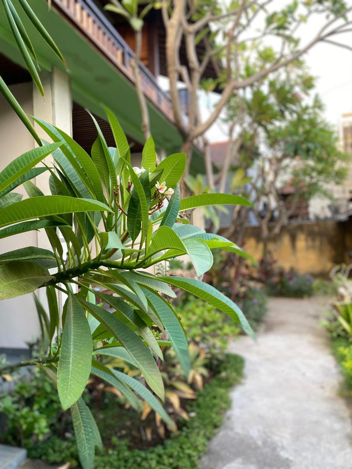 Putra'Lebah Amed Guest House Kültér fotó